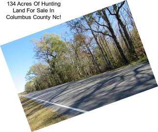 134 Acres Of Hunting Land For Sale In Columbus County Nc!