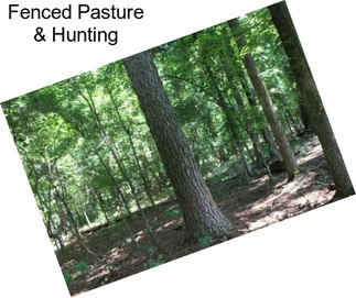 Fenced Pasture & Hunting