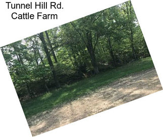 Tunnel Hill Rd. Cattle Farm