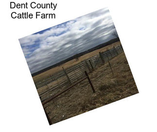 Dent County Cattle Farm