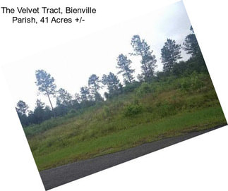 The Velvet Tract, Bienville Parish, 41 Acres +/-