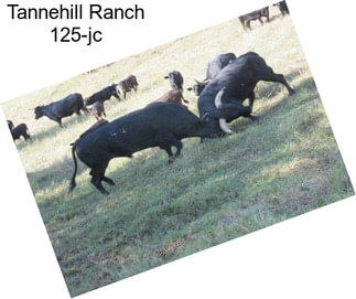 Tannehill Ranch 125-jc