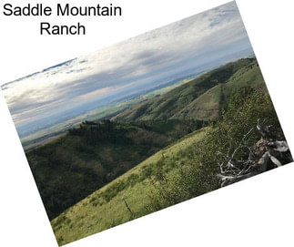 Saddle Mountain Ranch