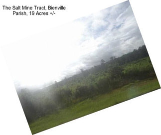 The Salt Mine Tract, Bienville Parish, 19 Acres +/-