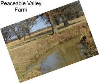 Peaceable Valley Farm