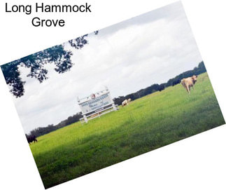 Long Hammock Grove