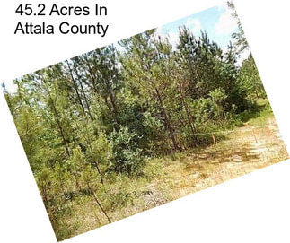 45.2 Acres In Attala County