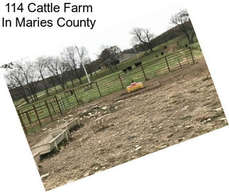 114 Cattle Farm In Maries County