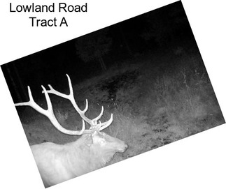 Lowland Road Tract A