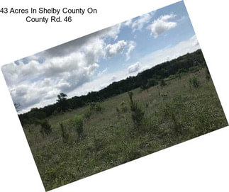 43 Acres In Shelby County On County Rd. 46