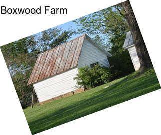 Boxwood Farm