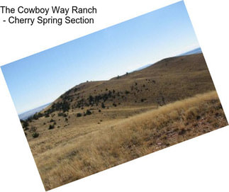 The Cowboy Way Ranch - Cherry Spring Section