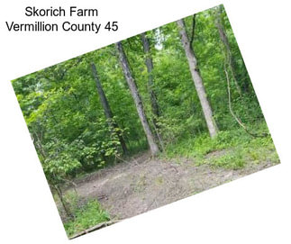 Skorich Farm Vermillion County 45