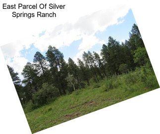 East Parcel Of Silver Springs Ranch