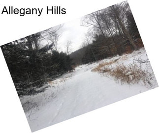 Allegany Hills