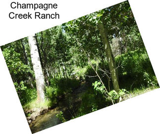 Champagne Creek Ranch