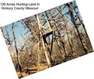 120 Acres Hunting Land In Hickory County Missouri