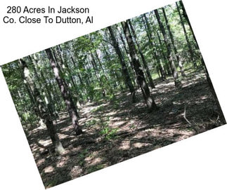 280 Acres In Jackson Co. Close To Dutton, Al