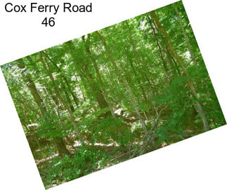 Cox Ferry Road 46