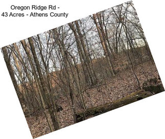 Oregon Ridge Rd - 43 Acres - Athens County