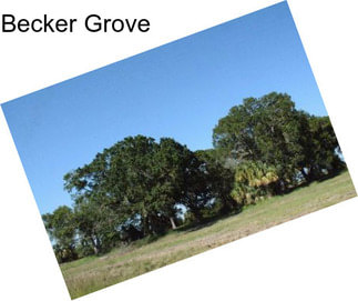 Becker Grove