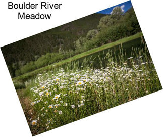 Boulder River Meadow