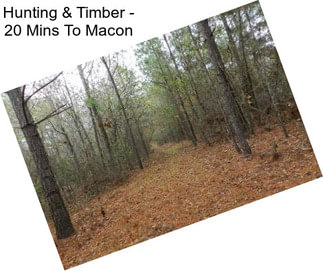Hunting & Timber - 20 Mins To Macon