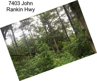 7403 John Rankin Hwy