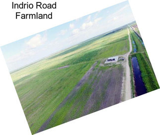 Indrio Road Farmland