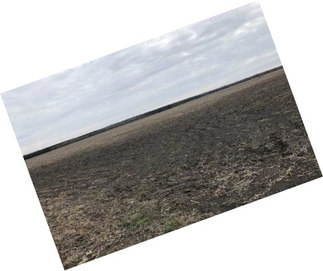 217+- Clark County Ag. Farm...(cotton, Wheat, Milo, Soybeans...)
Equipment Is Negotiable Too.