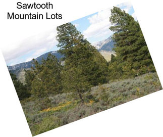 Sawtooth Mountain Lots