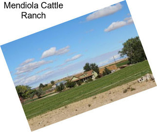 Mendiola Cattle Ranch