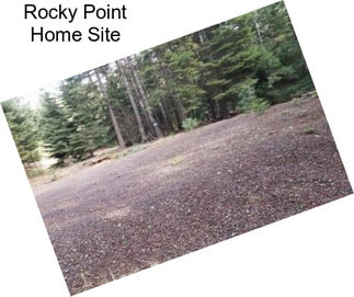 Rocky Point Home Site