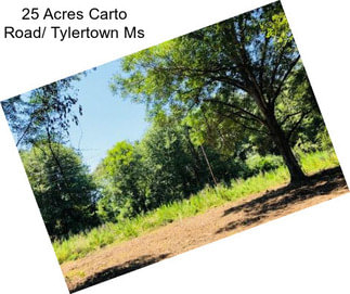 25 Acres Carto Road/ Tylertown Ms