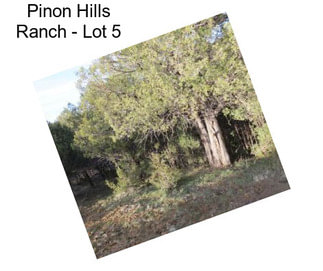 Pinon Hills Ranch - Lot 5