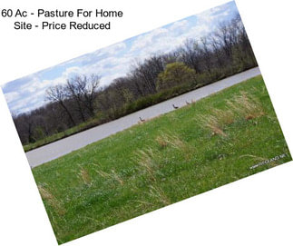 60 Ac - Pasture For Home Site - Price Reduced