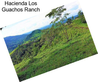 Hacienda Los Guachos Ranch