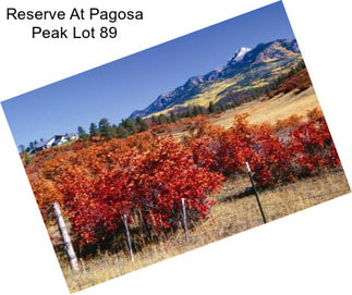 Reserve At Pagosa Peak Lot 89