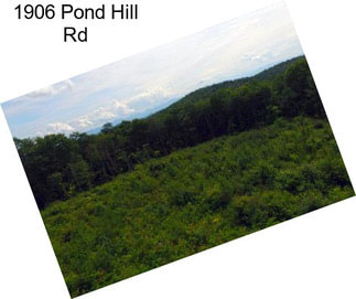 1906 Pond Hill Rd