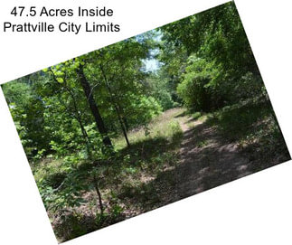 47.5 Acres Inside Prattville City Limits