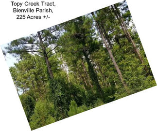 Topy Creek Tract, Bienville Parish, 225 Acres +/-