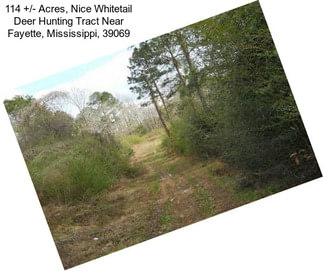 114 +/- Acres, Nice Whitetail Deer Hunting Tract Near Fayette, Mississippi, 39069