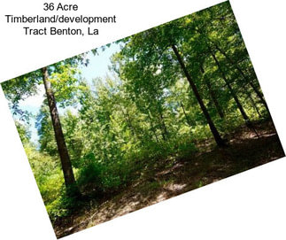 36 Acre Timberland/development Tract Benton, La