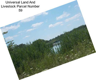 Universal Land And Livestock Parcel Number 59