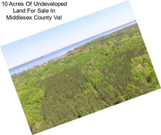 10 Acres Of Undeveloped Land For Sale In Middlesex County Va!