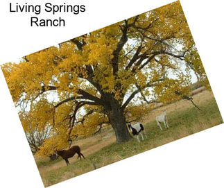 Living Springs Ranch