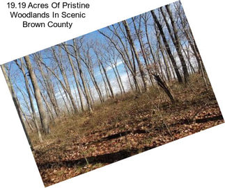 19.19 Acres Of Pristine Woodlands In Scenic Brown County