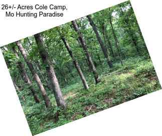 26+/- Acres Cole Camp, Mo Hunting Paradise