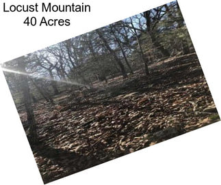 Locust Mountain 40 Acres