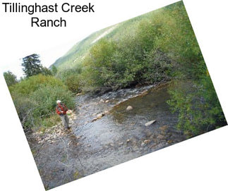 Tillinghast Creek Ranch